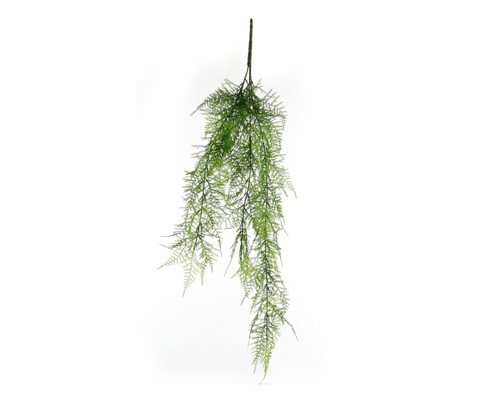 FOUGERE A/SUSPENDRE VERT H5CM