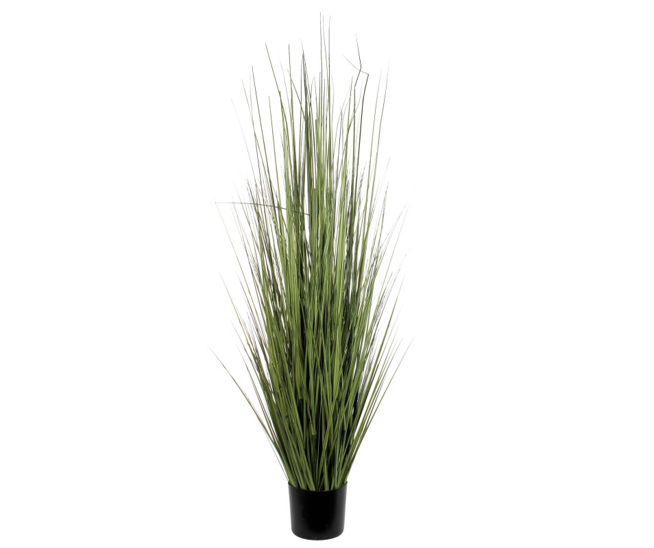 GRAS EN POT VERT H153XD50CM