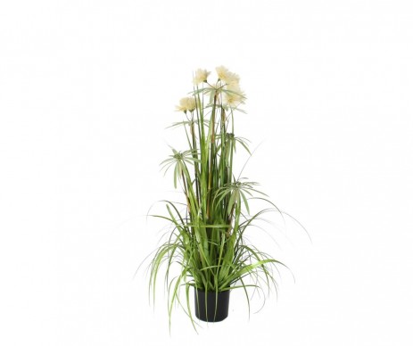HERBE POM POM VERT H120CM