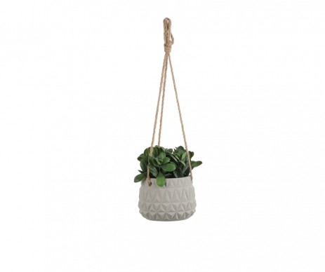 PLANTE A/SUSP VERT H18XD14CM