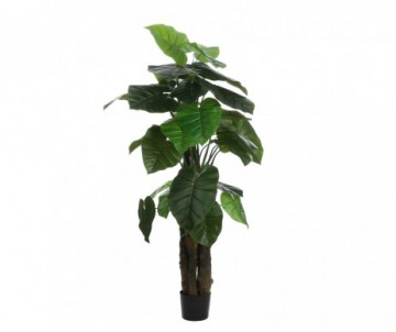 TARO POT VERT H190XD80CM