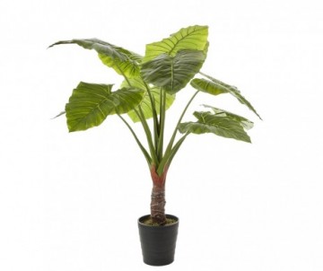 TARO POT PLAST VERT 130X110