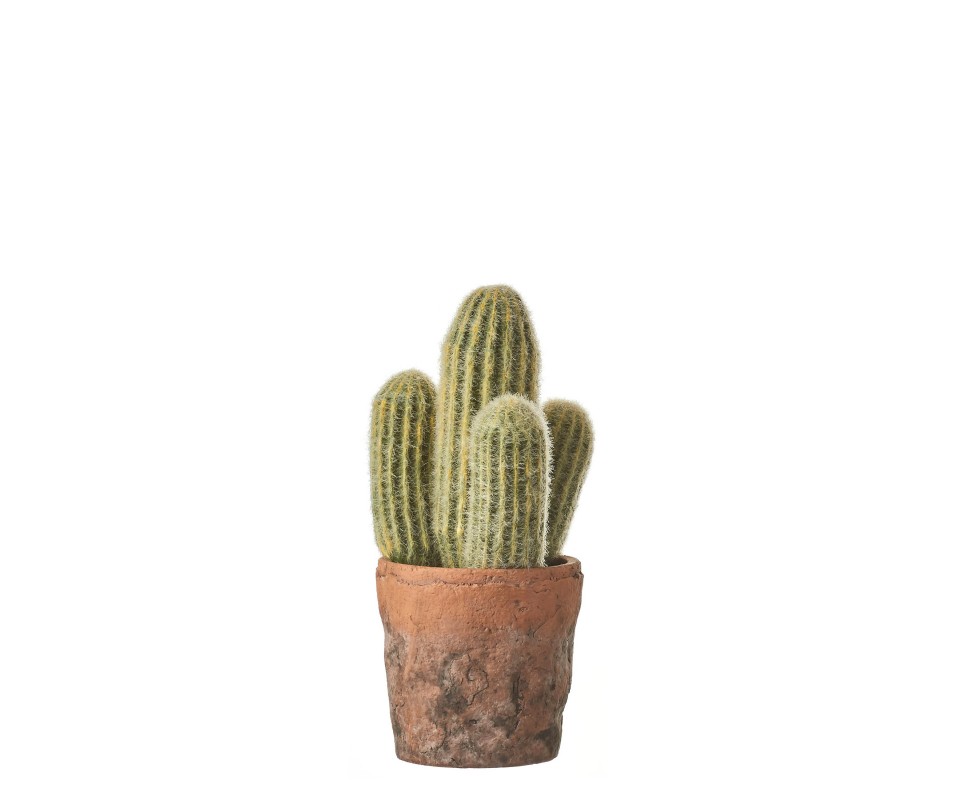 CACTUS VERT POT 10