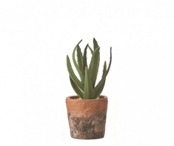 CACTUS VERT POT 10