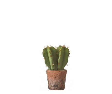 CACTUS VERT EN POT 8X17X8