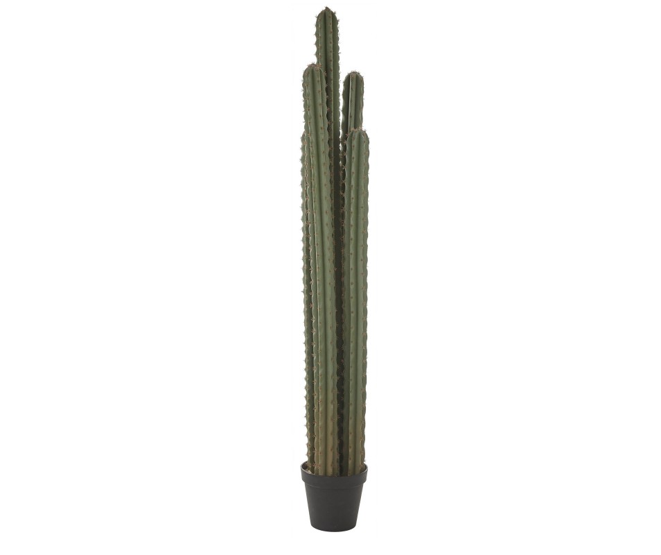 CACTUS POT VERT - H180XD25CM
