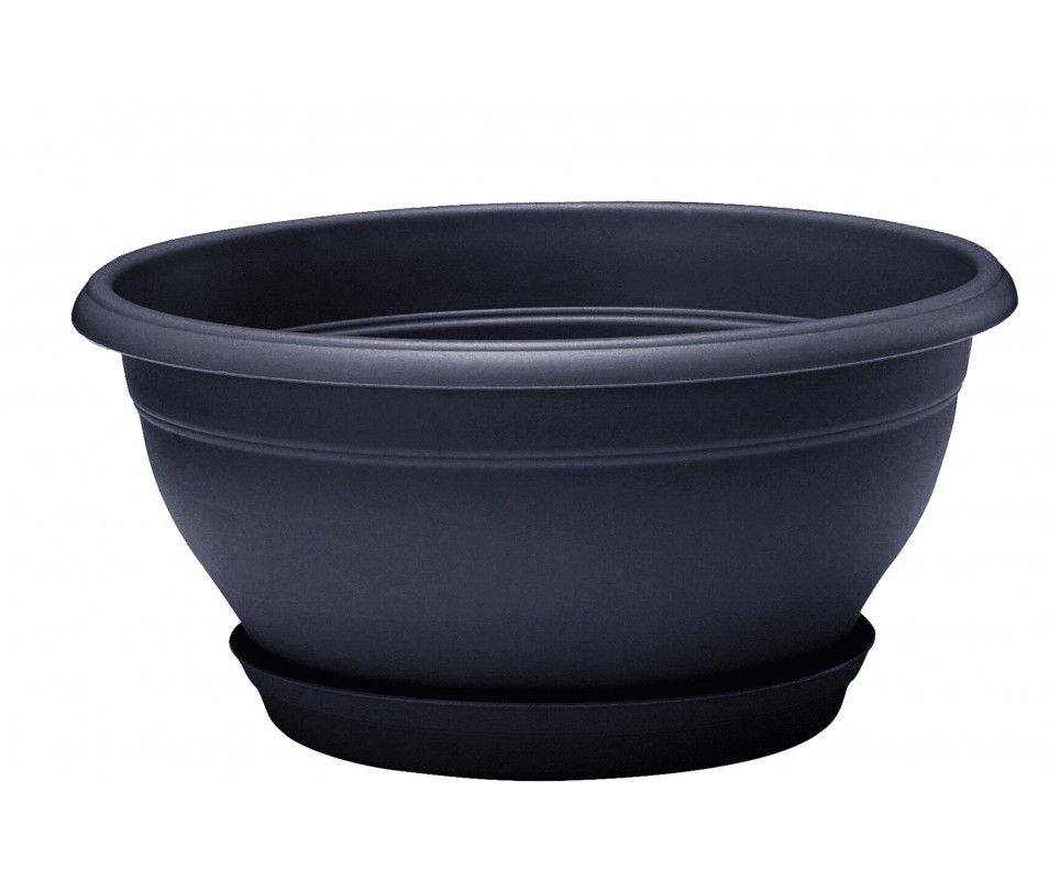 COUPE LOTUS RONDE DIAMETRE 30CM VIOLINE