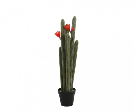 CACTUS EN POT 118 CM