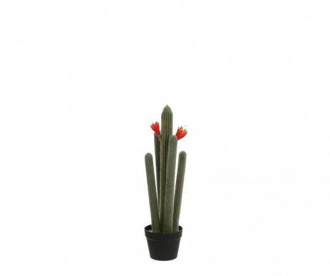 CACTUS EN POT 72CM