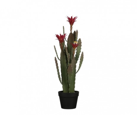 CACTUS EN POT 79CM