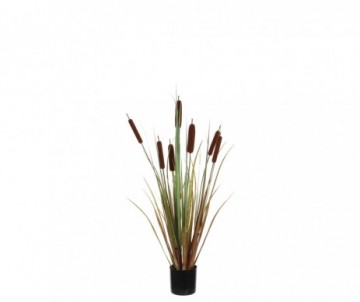 TYPHA POT H90