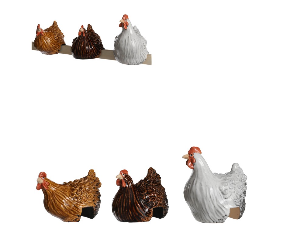 Une poule bien curieuse - Webshop - Matelma