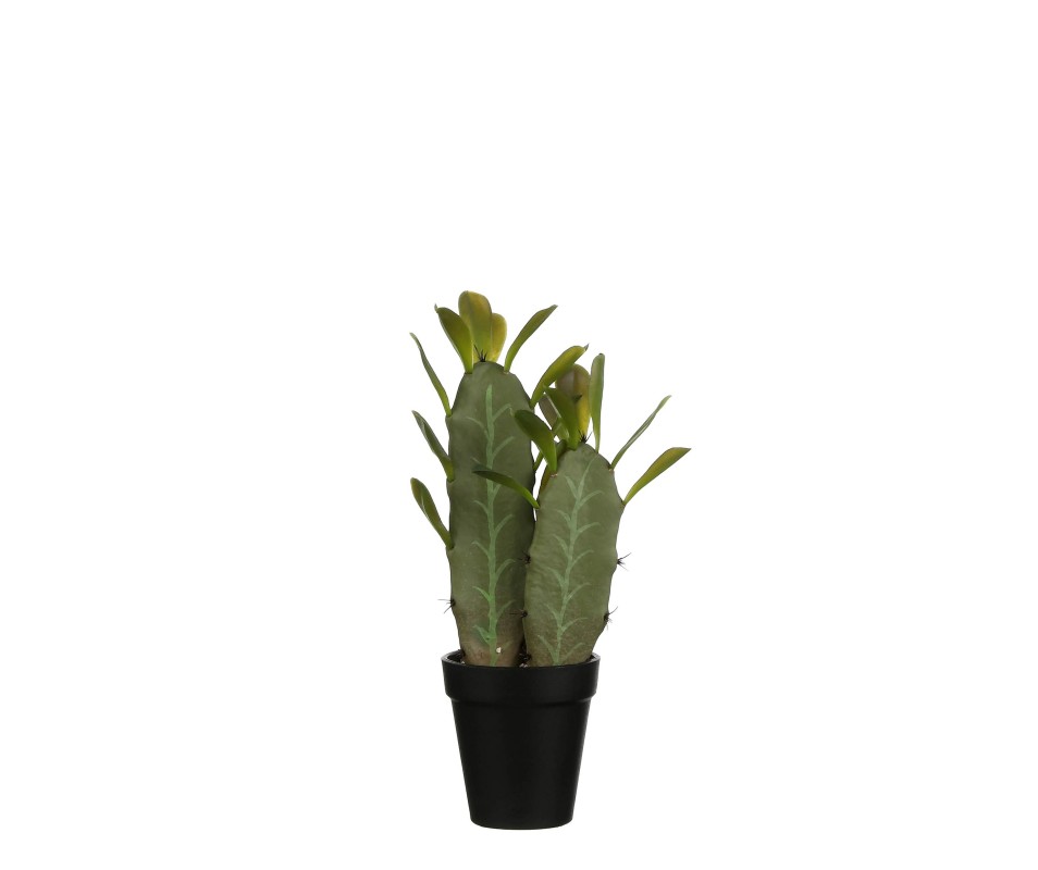 CACTUS VERT POT H32XD9