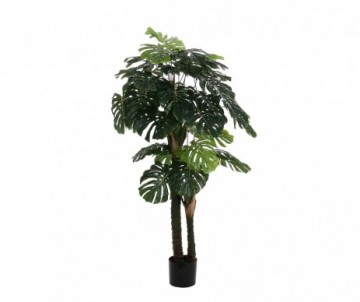 PHILO VERT POT H175XD90CM