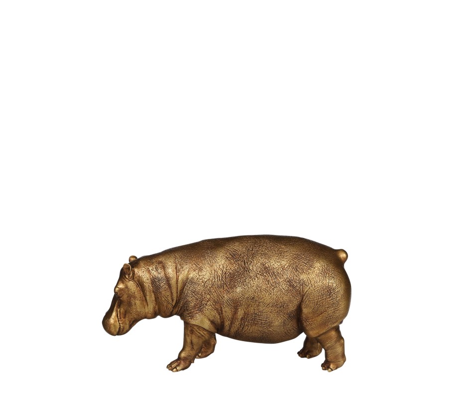 HIPPOTAME OR L24