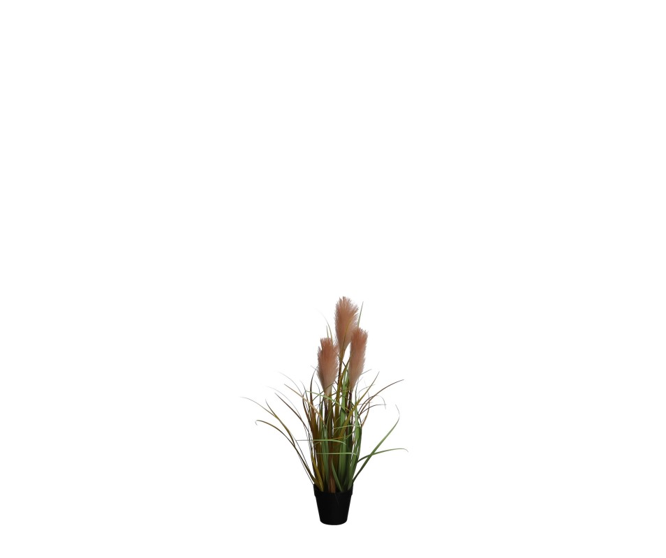 FOXTAIL POT PECHE H53XD20CM