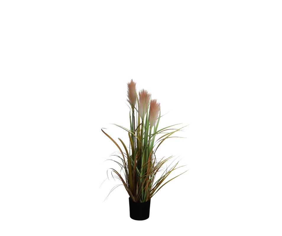 FOXTAIL POT PECHE H80XD45CM