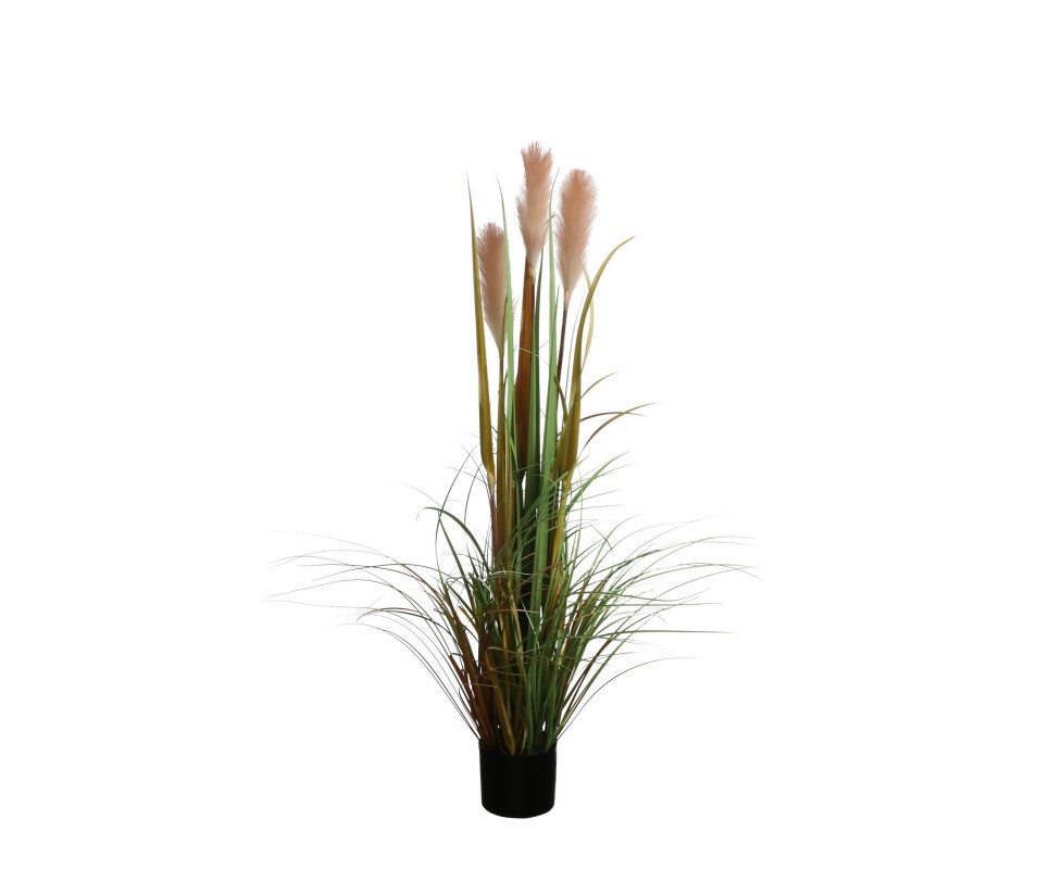 FOXTAIL POT PECHE H120XD45CM