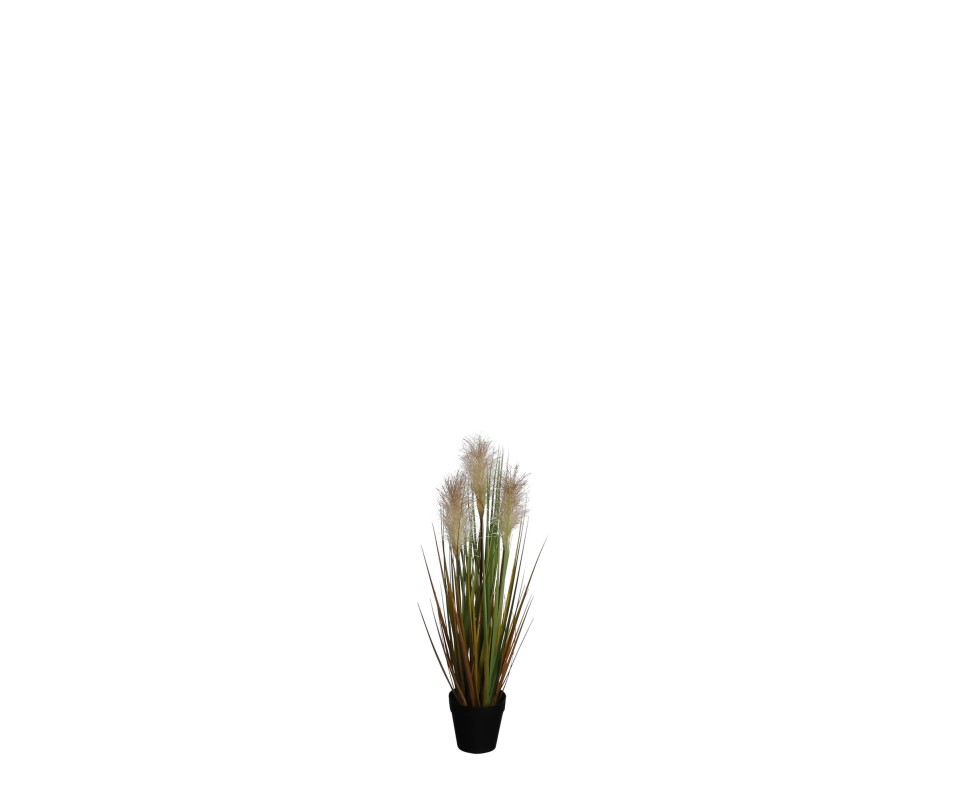 FOXTAIL POT CREME H53XD20CM