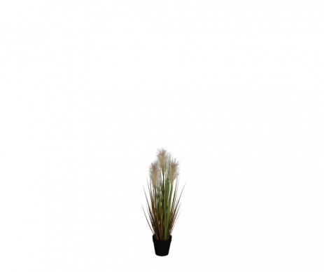 FOXTAIL POT CREME H53XD20CM