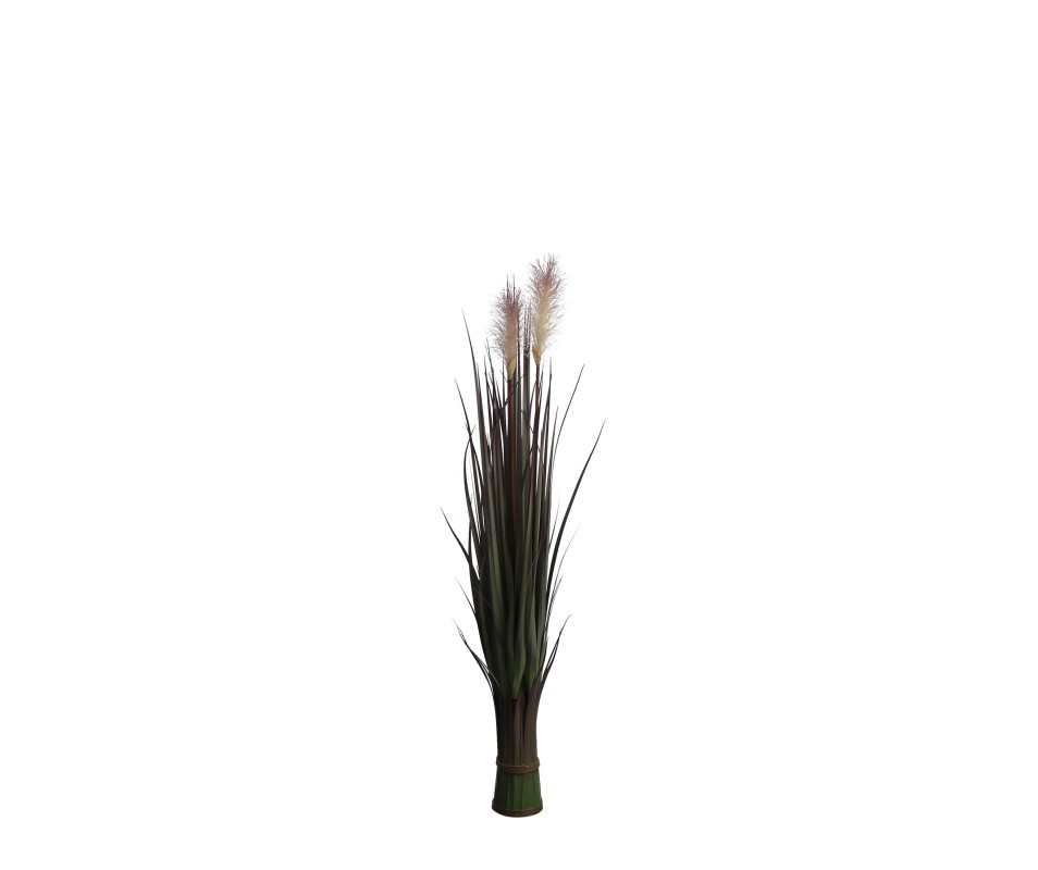 FOXTAIL VIOLET H90XD20CM