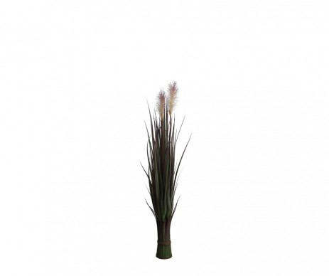 FOXTAIL VIOLET H90XD20CM
