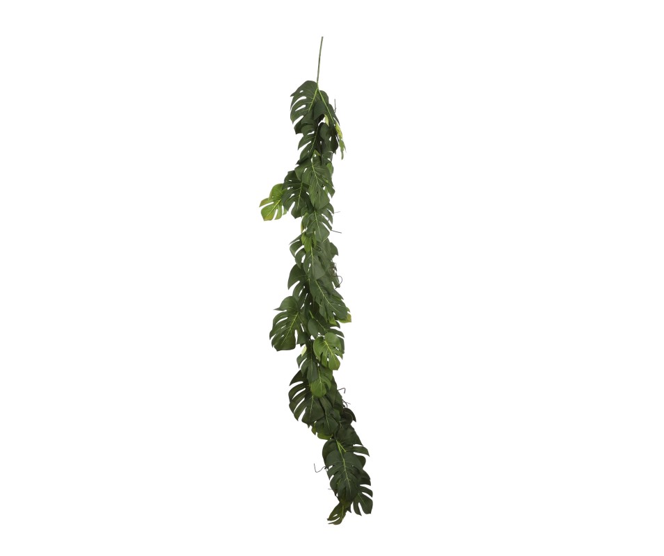 MONSTERA GUIRLANDE VERT 190CM