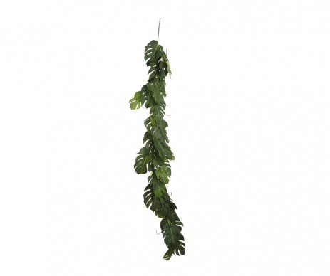 MONSTERA GUIRLANDE VERT 190CM