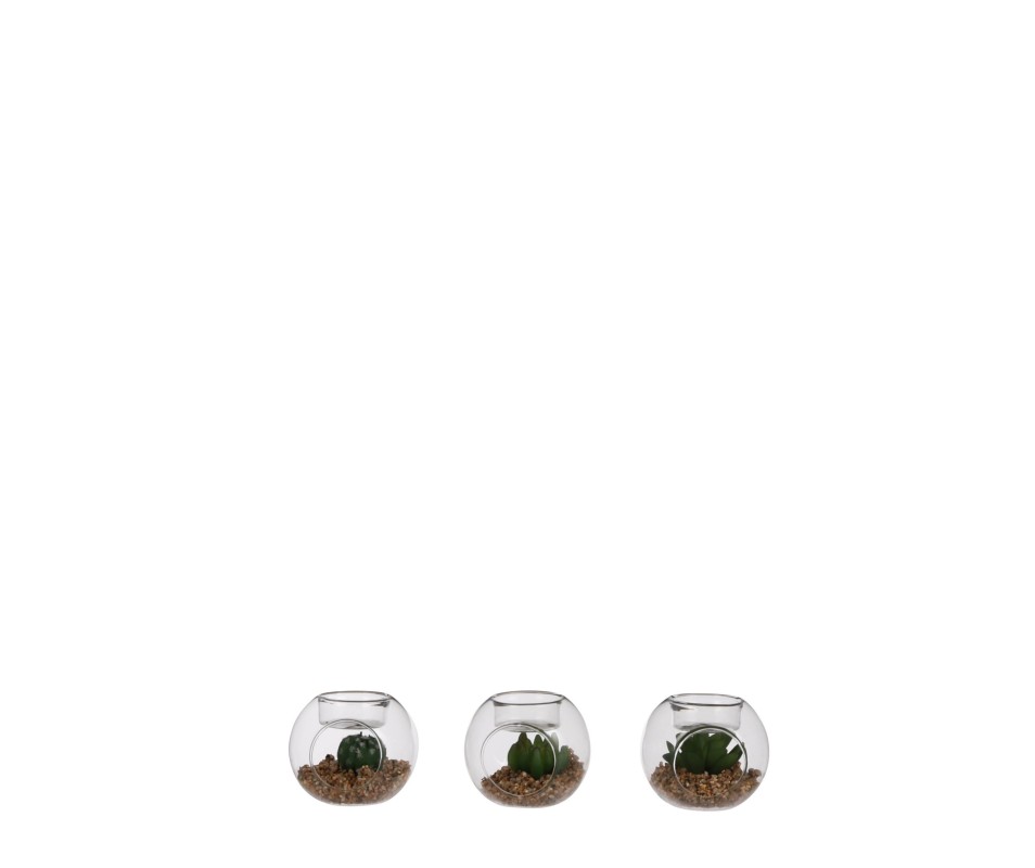 SUCCULENTE BOUGEOIR VERT D8CM