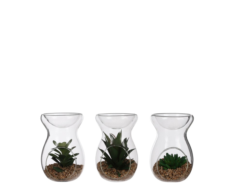 SUCCULENTE BOUGEOIR D10