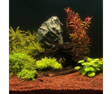 Le substrat pour aquarium, comment choisir le meilleur ?