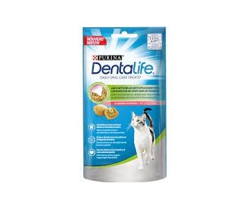 DENTALIFE CHAT SAUMON 40G