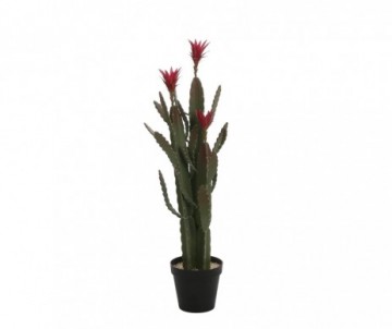 CACTUS EN POT 122CM