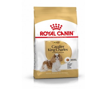 CROQUETTES CAVALIER KING CHARLES ADULT 3KG ROYAL CANIN