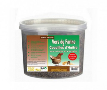 Ma Poule Express Mélange de nourriture pour oiseaux sauvages toutes  saisons, mélange de graines d'oiseaux sauvages, sac de 7 kg : :  Terrasse et Jardin