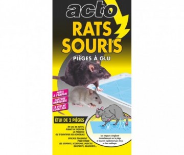 Piège à Souris à Rats, Colle très Collante, Pack de 5 Pièges à Souris, Attrape  Moustiques Cafards : : Jardin