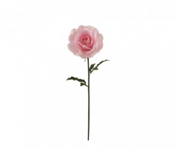 ROSE ROSE CL  - L98XD26CM