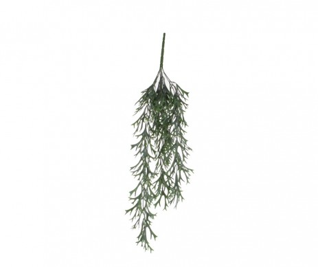 CHUTE VERT CITRONELLA