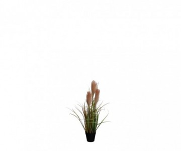 FOXTAIL POT PECHE H53XD20CM