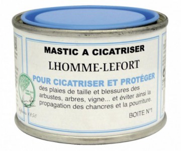 MASTIC A CICATRISER 75GR - L'HOMME LEFORT