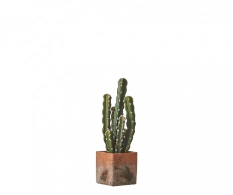 CACTUS EN POT 39 5 CM