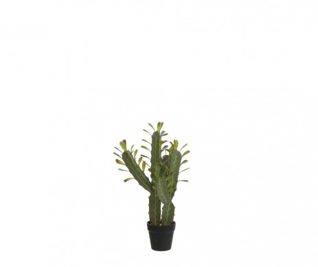 CACTUS EN POT 62 CM