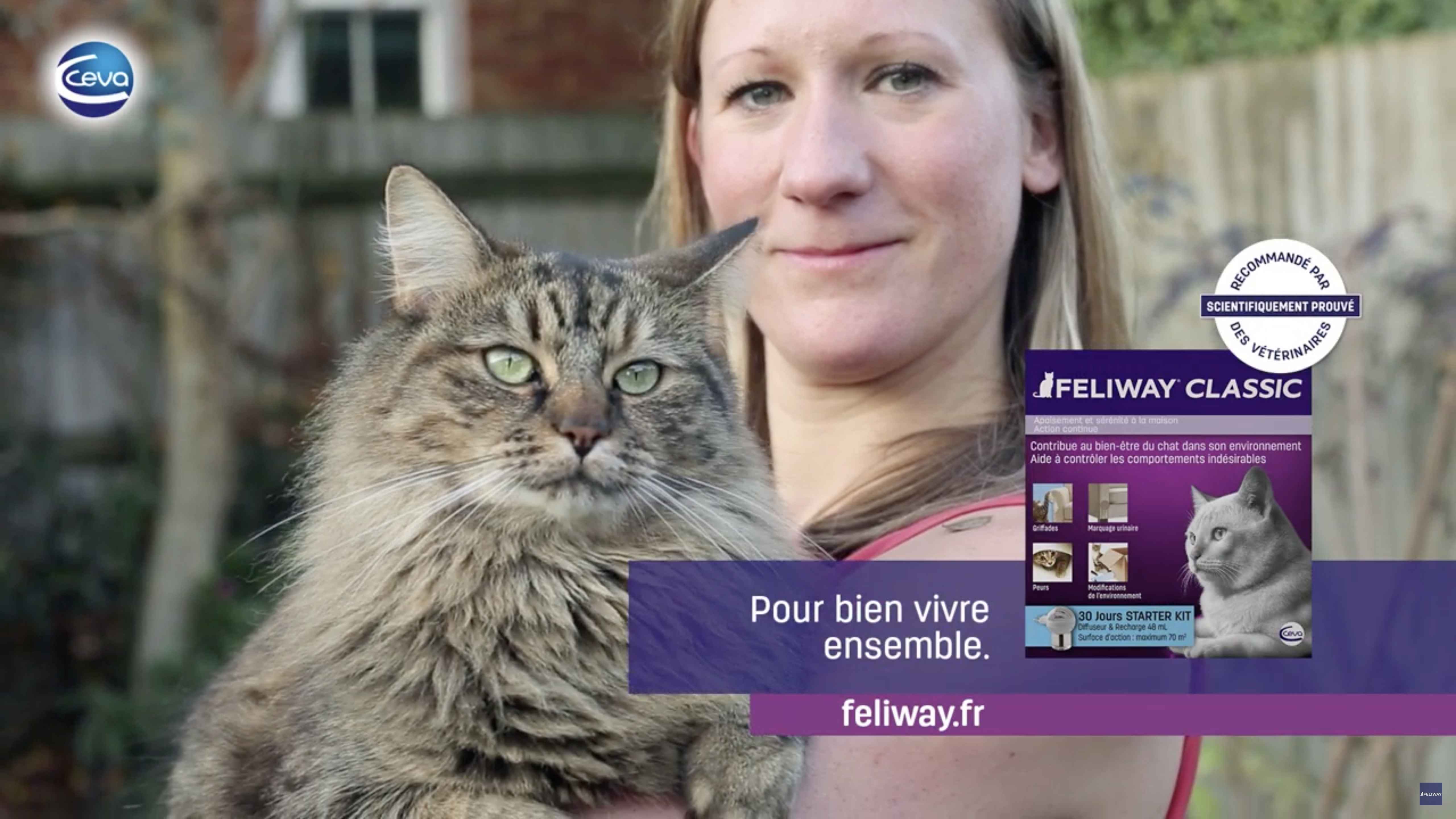 Recharge Feliway Classic Pour 1 Mois - Anxiété-Comportement-Stress Chat -  Compléments alimentaires Feliway