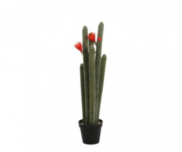 CACTUS EN POT 118 CM