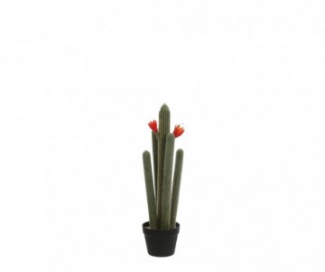 CACTUS EN POT 72CM