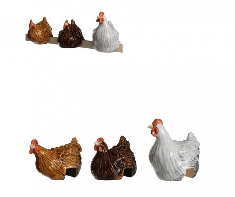 POULE MARRON ASSORTIE H15