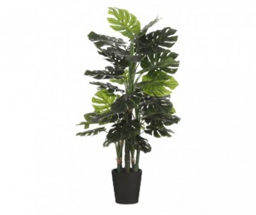 MONSTERA POT VERT H140XD80CM