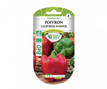 POIVRON CALIFORNIA WONDER BIO