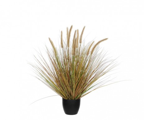 CP CATTAIL GRASS 68 CM