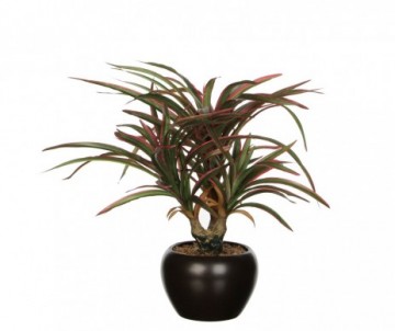 YUCCA POT L11L11H34 VERT